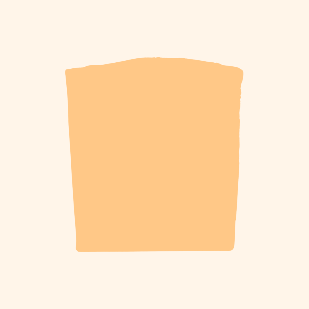 Champagne - Goat Milk & Tallow Soap
